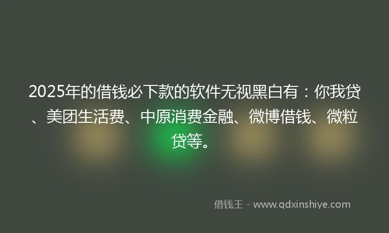 2025年的借钱必下款的软件无视黑白有：你我贷、美团生活费、中原消费金融、微博借钱、微粒贷等。