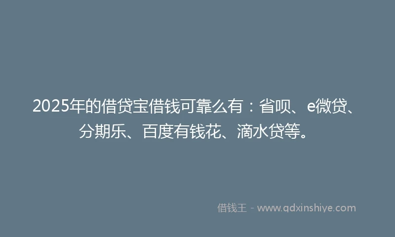 2025年的借贷宝借钱可靠么有：省呗、e微贷、分期乐、百度有钱花、滴水贷等。