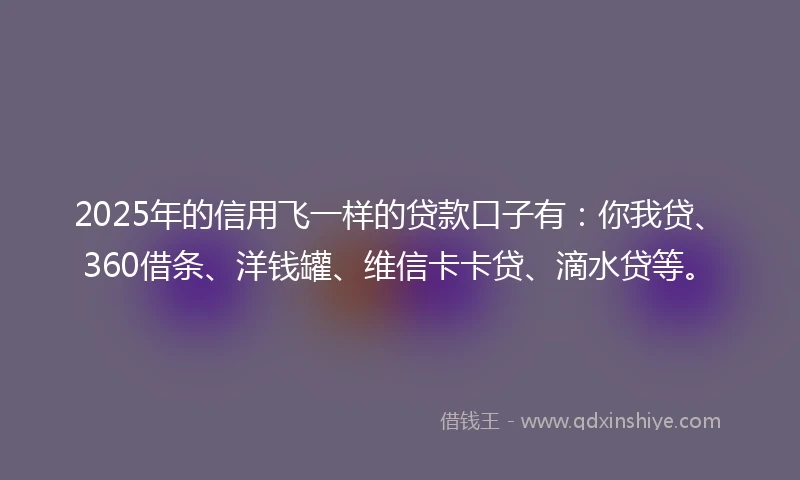 2025年的信用飞一样的贷款口子有：你我贷、360借条、洋钱罐、维信卡卡贷、滴水贷等。