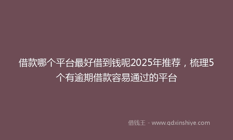 借款哪个平台最好借到钱呢2025年推荐，梳理5个有逾期借款容易通过的平台