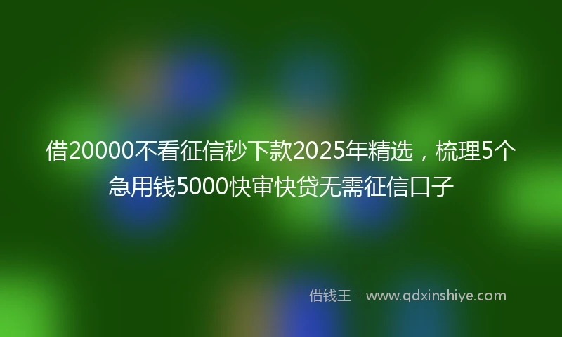 借20000不看征信秒下款2025年精选，梳理5个急用钱5000快审快贷无需征信口子