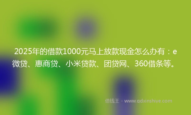 2025年的借款1000元马上放款现金怎么办有：e微贷、惠商贷、小米贷款、团贷网、360借条等。
