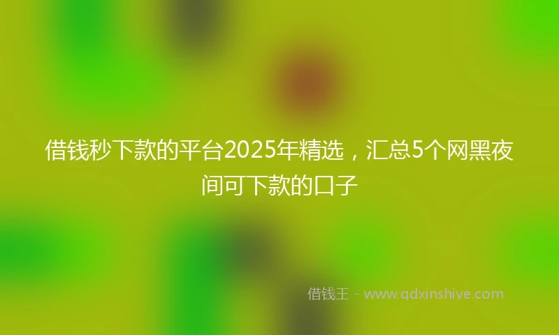 借钱秒下款的平台2025年精选，汇总5个网黑夜间可下款的口子