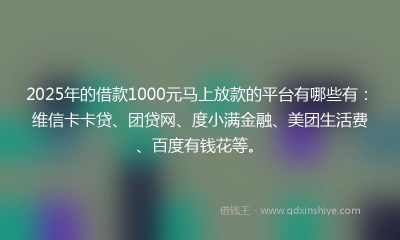 2025年的借款1000元马上放款的平台有哪些有：维信卡卡贷、团贷网、度小满金融、美团生活费、百度有钱花等。