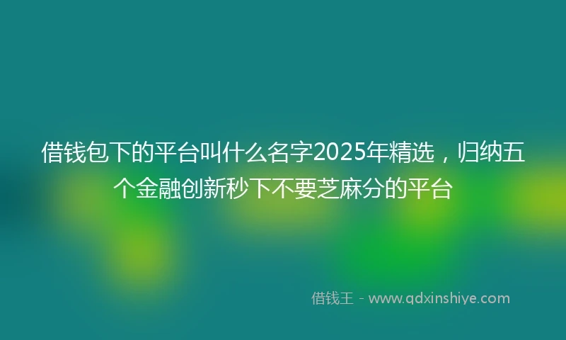 借钱包下的平台叫什么名字2025年精选，归纳五个金融创新秒下不要芝麻分的平台