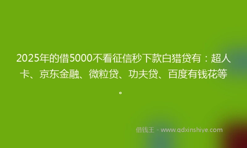 2025年的借5000不看征信秒下款白猎贷有：超人卡、京东金融、微粒贷、功夫贷、百度有钱花等。