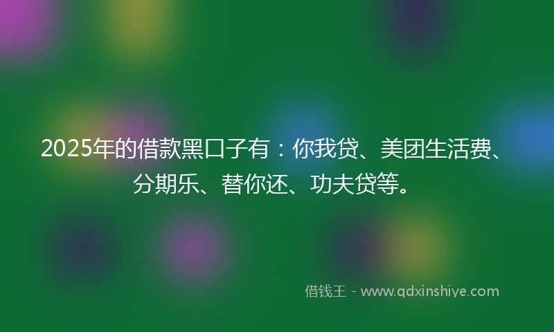 2025年的借款黑口子有：你我贷、美团生活费、分期乐、替你还、功夫贷等。