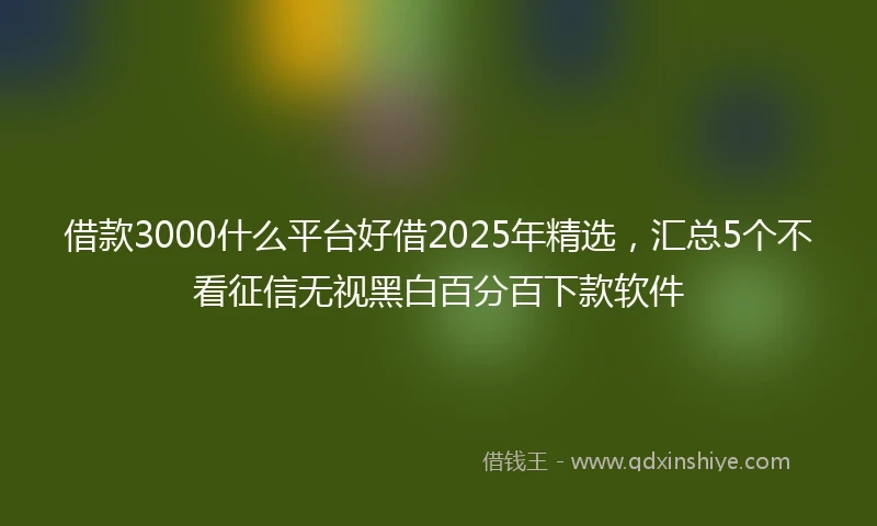 借款3000什么平台好借2025年精选，汇总5个不看征信无视黑白百分百下款软件