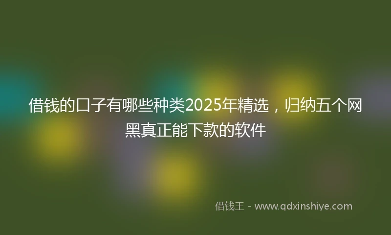 借钱的口子有哪些种类2025年精选，归纳五个网黑真正能下款的软件