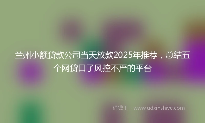 兰州小额贷款公司当天放款2025年推荐，总结五个网贷口子风控不严的平台
