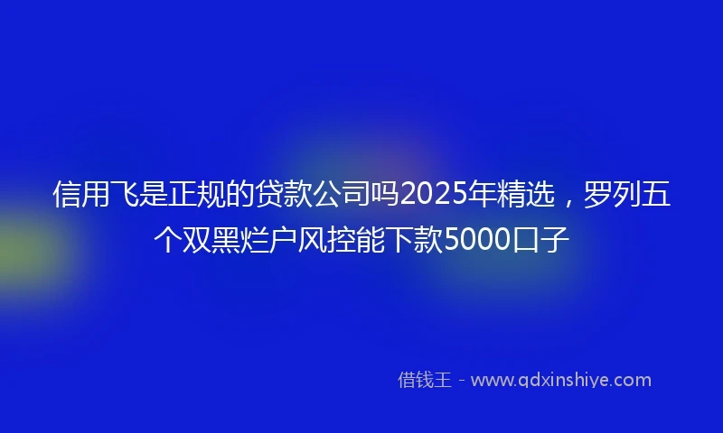 信用飞是正规的贷款公司吗2025年精选，罗列五个双黑烂户风控能下款5000口子