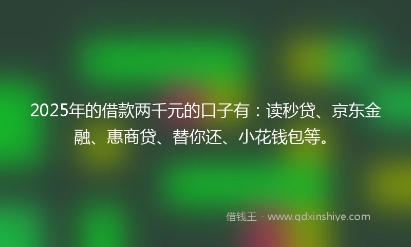 2025年的借款两千元的口子有：读秒贷、京东金融、惠商贷、替你还、小花钱包等。