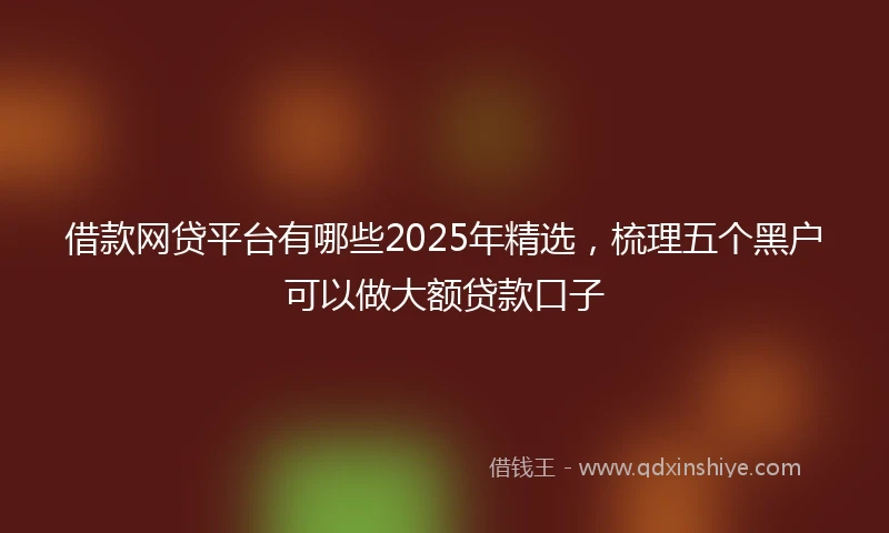 借款网贷平台有哪些2025年精选，梳理五个黑户可以做大额贷款口子