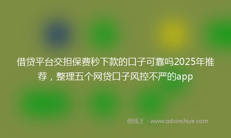 借贷平台交担保费秒下款的口子可靠吗2025年推荐，整理五个网贷口子风控不严的app