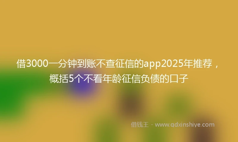 借3000一分钟到账不查征信的app2025年推荐，概括5个不看年龄征信负债的口子