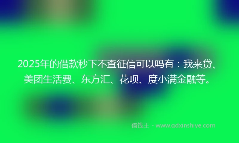 2025年的借款秒下不查征信可以吗有：我来贷、美团生活费、东方汇、花呗、度小满金融等。