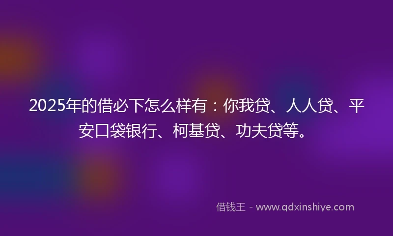2025年的借必下怎么样有：你我贷、人人贷、平安口袋银行、柯基贷、功夫贷等。