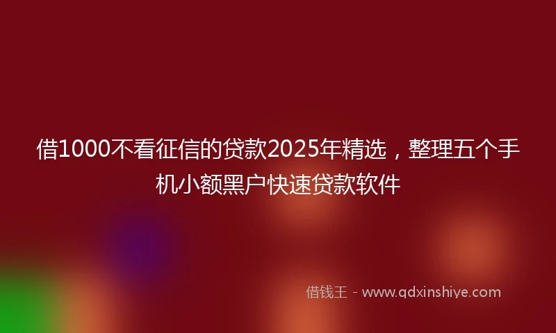 借1000不看征信的贷款2025年精选，整理五个手机小额黑户快速贷款软件