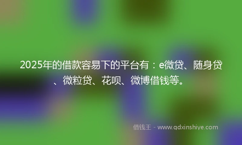 2025年的借款容易下的平台有：e微贷、随身贷、微粒贷、花呗、微博借钱等。