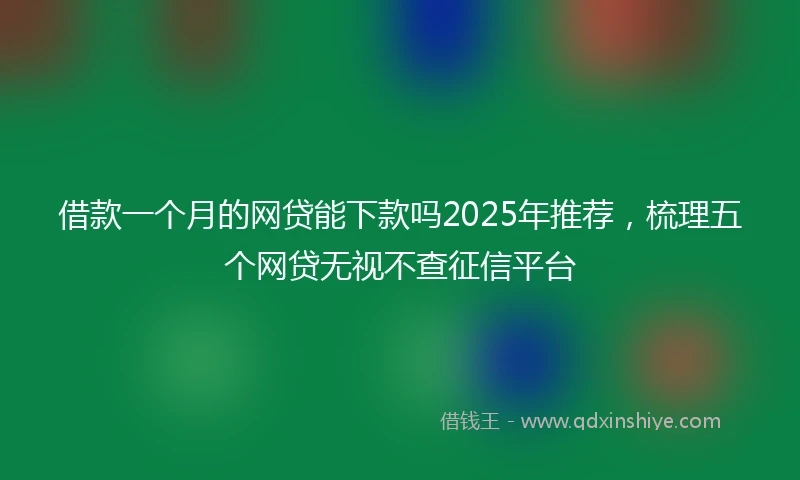 借款一个月的网贷能下款吗2025年推荐，梳理五个网贷无视不查征信平台