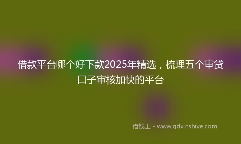 借款平台哪个好下款2025年精选，梳理五个审贷口子审核加快的平台