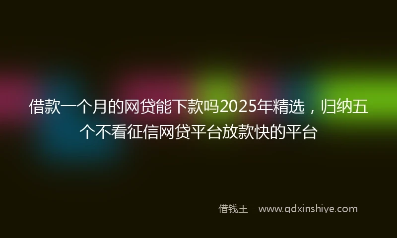 借款一个月的网贷能下款吗2025年精选，归纳五个不看征信网贷平台放款快的平台