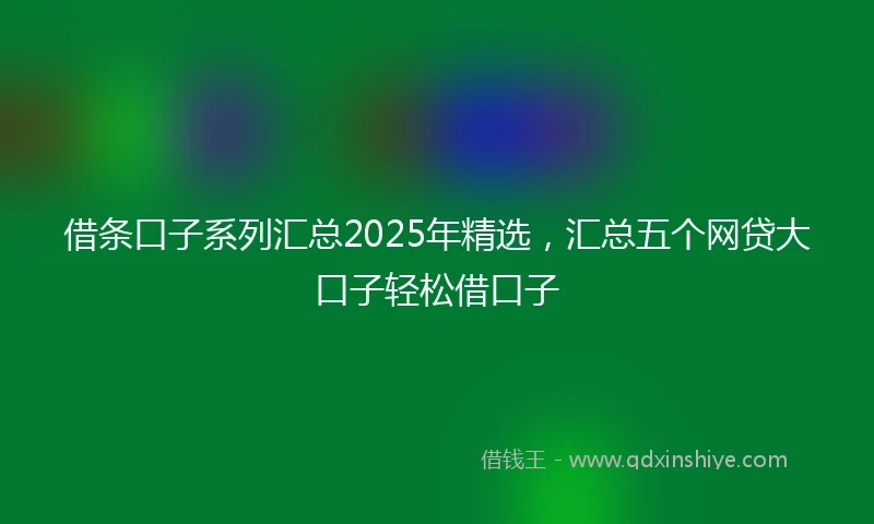借条口子系列汇总2025年精选，汇总五个网贷大口子轻松借口子