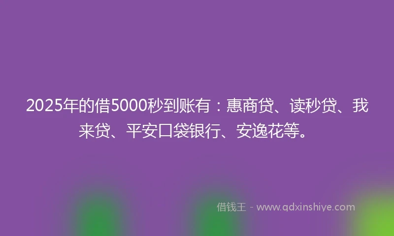 2025年的借5000秒到账有：惠商贷、读秒贷、我来贷、平安口袋银行、安逸花等。