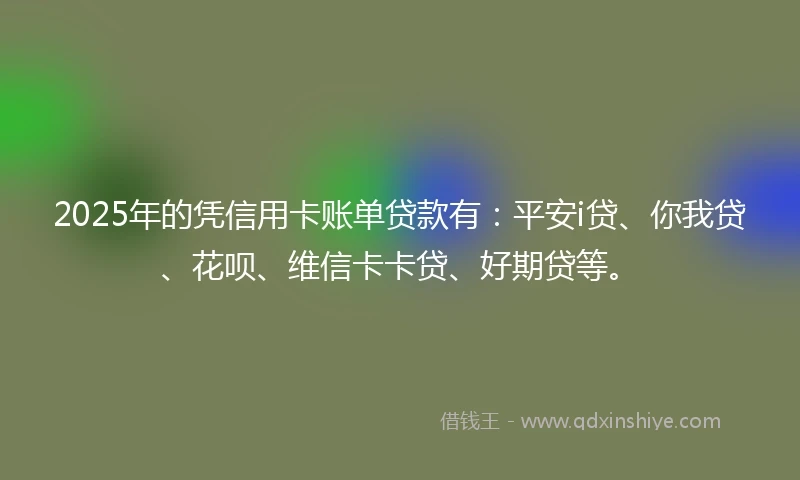 2025年的凭信用卡账单贷款有：平安i贷、你我贷、花呗、维信卡卡贷、好期贷等。