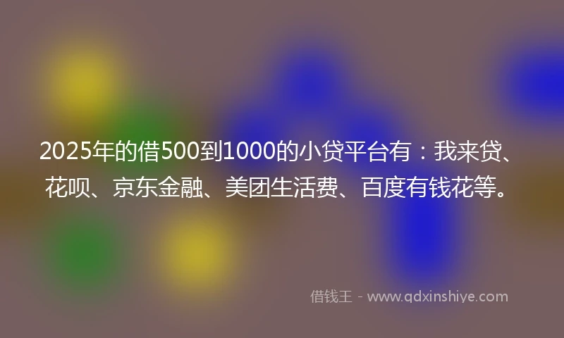2025年的借500到1000的小贷平台有：我来贷、花呗、京东金融、美团生活费、百度有钱花等。