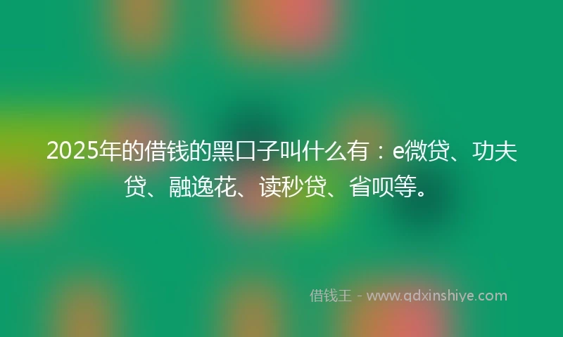 2025年的借钱的黑口子叫什么有：e微贷、功夫贷、融逸花、读秒贷、省呗等。