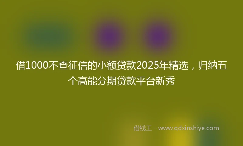 借1000不查征信的小额贷款2025年精选，归纳五个高能分期贷款平台新秀
