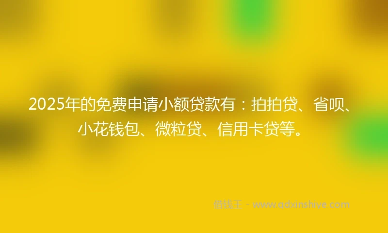 2025年的免费申请小额贷款有：拍拍贷、省呗、小花钱包、微粒贷、信用卡贷等。