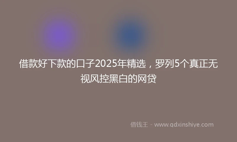 借款好下款的口子2025年精选，罗列5个真正无视风控黑白的网贷