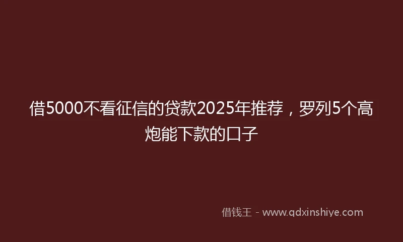 借5000不看征信的贷款2025年推荐，罗列5个高炮能下款的口子