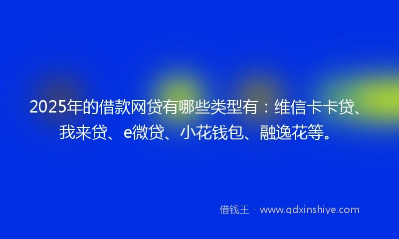 2025年的借款网贷有哪些类型有：维信卡卡贷、我来贷、e微贷、小花钱包、融逸花等。