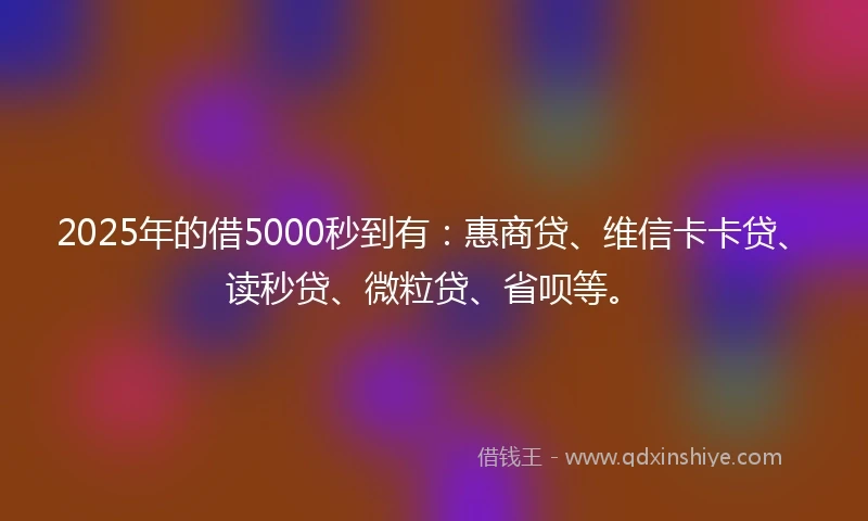 2025年的借5000秒到有：惠商贷、维信卡卡贷、读秒贷、微粒贷、省呗等。