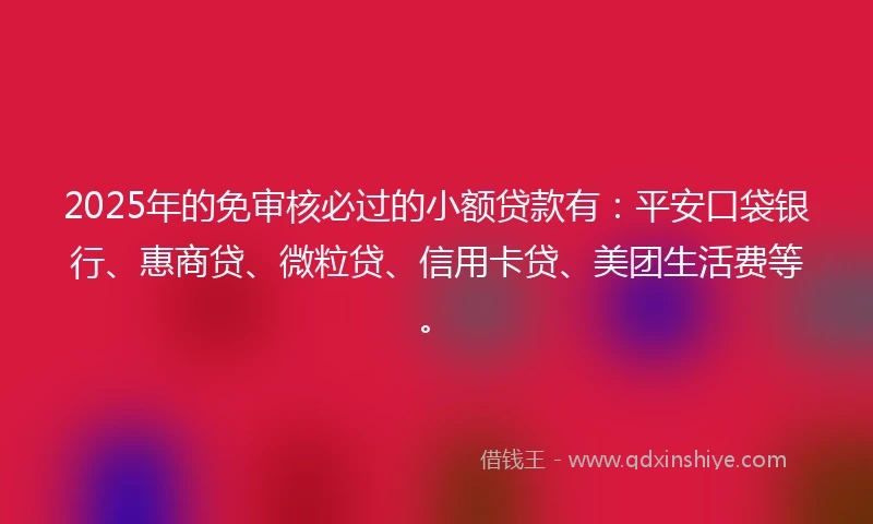 2025年的免审核必过的小额贷款有：平安口袋银行、惠商贷、微粒贷、信用卡贷、美团生活费等。