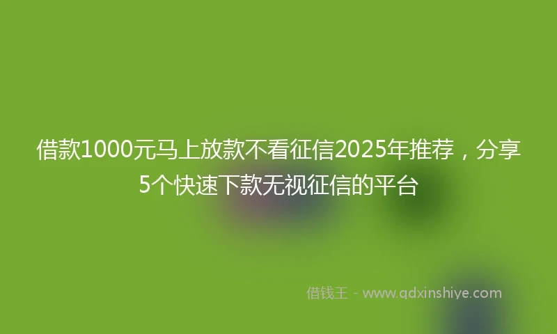 借款1000元马上放款不看征信2025年推荐，分享5个快速下款无视征信的平台