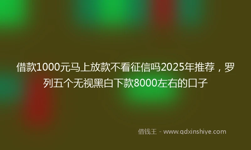 借款1000元马上放款不看征信吗2025年推荐，罗列五个无视黑白下款8000左右的口子