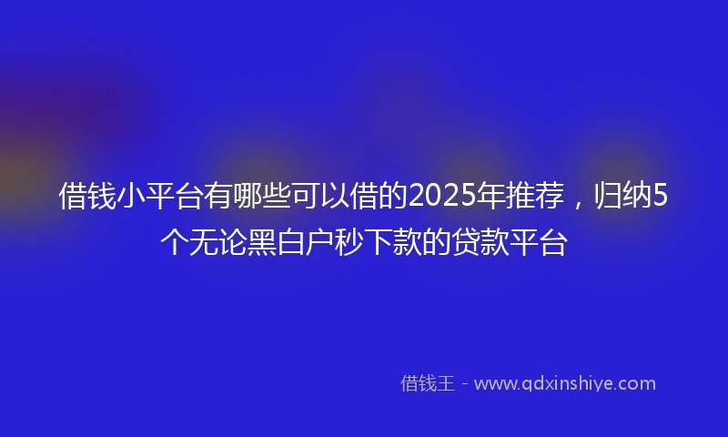 借钱小平台有哪些可以借的2025年推荐，归纳5个无论黑白户秒下款的贷款平台