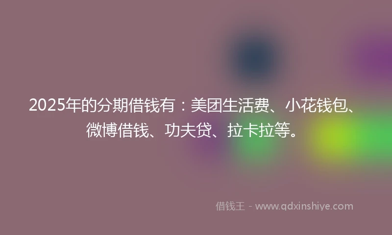 2025年的分期借钱有：美团生活费、小花钱包、微博借钱、功夫贷、拉卡拉等。