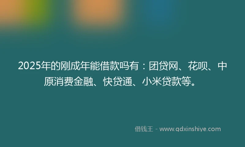 2025年的刚成年能借款吗有：团贷网、花呗、中原消费金融、快贷通、小米贷款等。