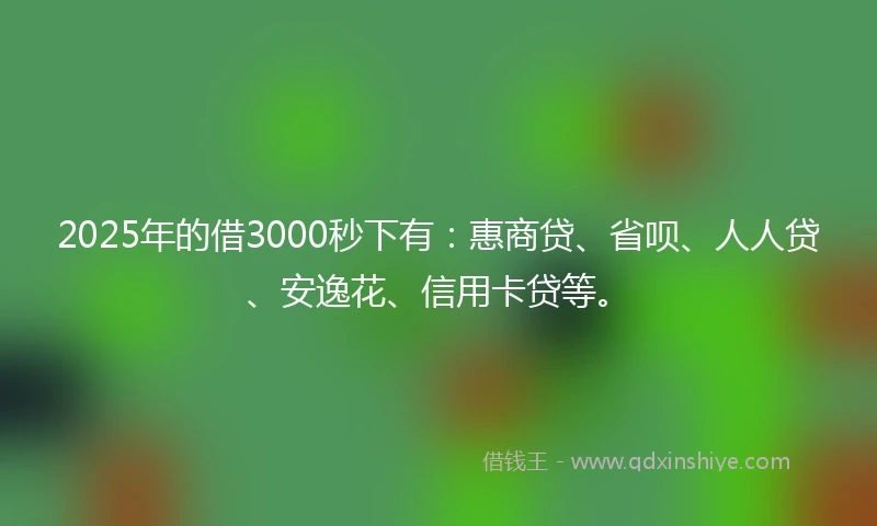 2025年的借3000秒下有：惠商贷、省呗、人人贷、安逸花、信用卡贷等。