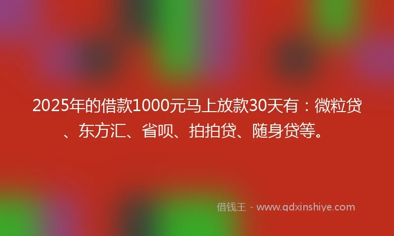 2025年的借款1000元马上放款30天有：微粒贷、东方汇、省呗、拍拍贷、随身贷等。