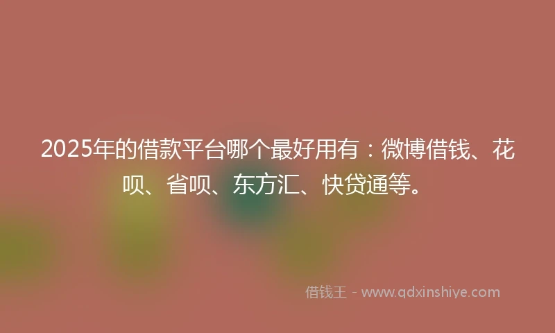 2025年的借款平台哪个最好用有：微博借钱、花呗、省呗、东方汇、快贷通等。