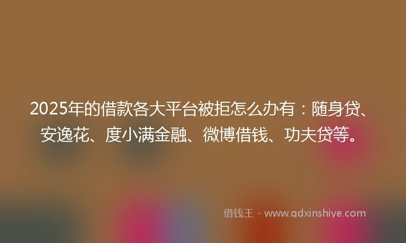 2025年的借款各大平台被拒怎么办有：随身贷、安逸花、度小满金融、微博借钱、功夫贷等。