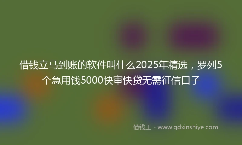 借钱立马到账的软件叫什么2025年精选，罗列5个急用钱5000快审快贷无需征信口子