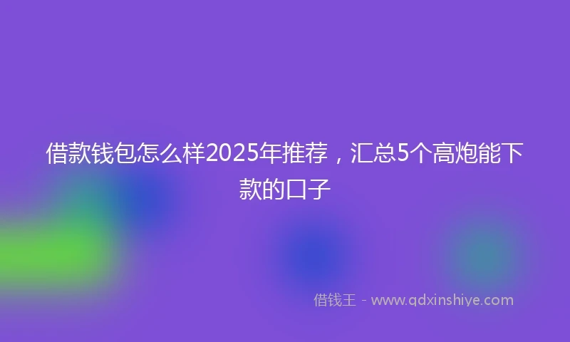 借款钱包怎么样2025年推荐，汇总5个高炮能下款的口子
