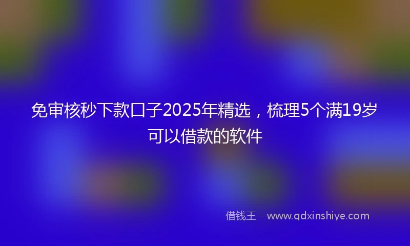 免审核秒下款口子2025年精选，梳理5个满19岁可以借款的软件
